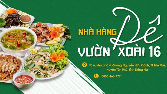 Không gian ấm cúng tại Dê Vườn Xoài 16 (Ảnh 1)