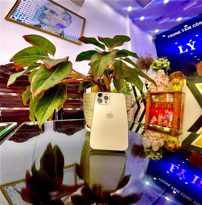 Hình ảnh 1 - Không gian trưng bày ấn tượng tại Lý iPhone190
