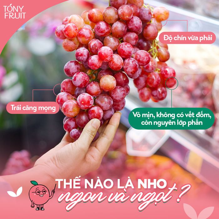 Không gian trưng bày sang trọng tại Tony Fruit