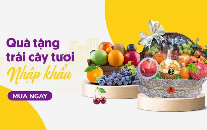 Bộ sưu tập trái cây tươi ngon tại Berry Fruit - Ảnh 3