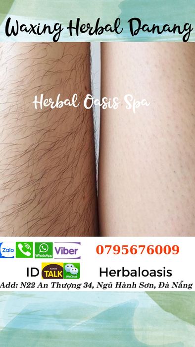 Không gian thư giãn sang trọng tại Herbal Oasis Spa