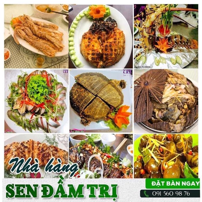 Món ăn tại Sen Đầm Trị ảnh 1