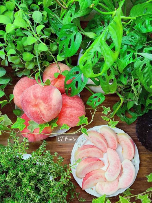 Bộ sưu tập trái cây nhập khẩu tại CT Fruits