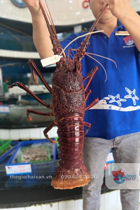 Không gian sang trọng tại Thế Giới Hải Sản