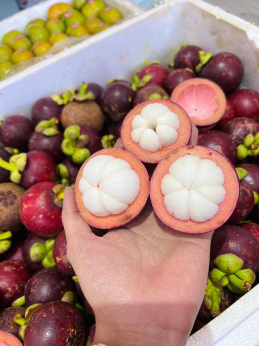 Hình ảnh ấn tượng về Ngọc Hương Fruit