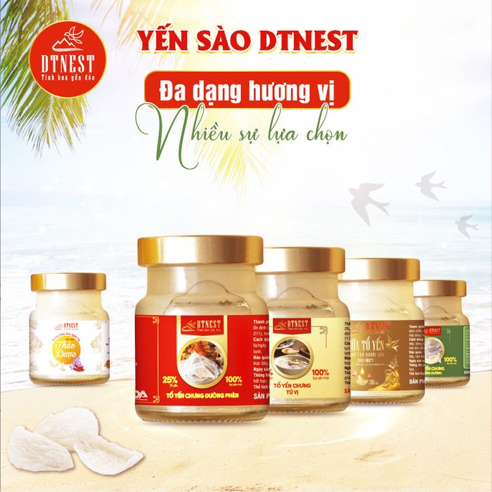 Yến sào DTNest Khánh Hòa - Hình ảnh 2