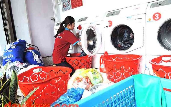 Hình ảnh thực tế dịch vụ của Bình Minh Green - Vệ sinh Nghệ An