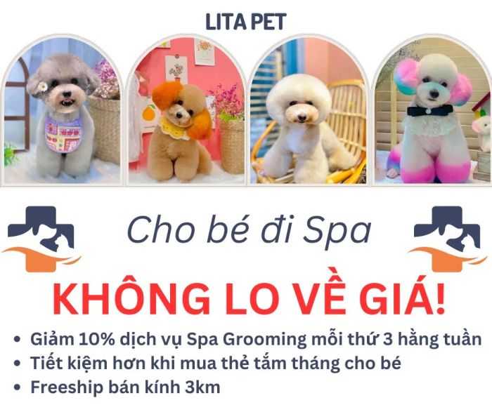 Hình ảnh 2 - Phòng Khám Thú Y Lita Pet - Dịch vụ chăm sóc chuyên nghiệp