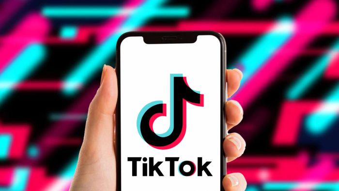 Hình ảnh minh họa TikTok