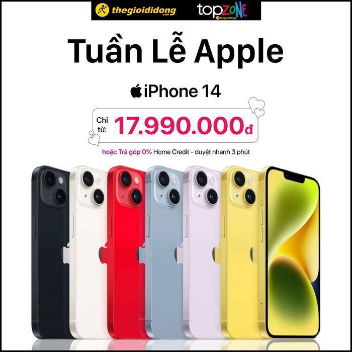 Góc trưng bày sản phẩm đa dạng tại Thế Giới Di Động