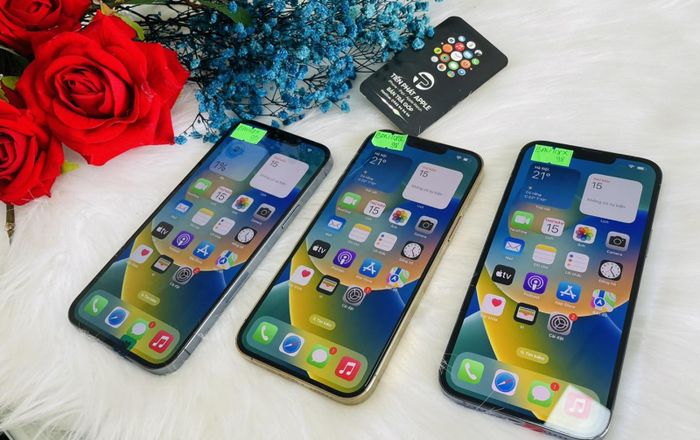 Shop Tiến Phát ảnh 2 - nơi lưu giữ những khoảnh khắc đẹp qua ống kính