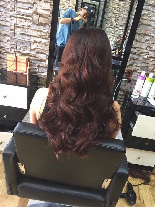 YOLO Hairsalon. Ảnh 1