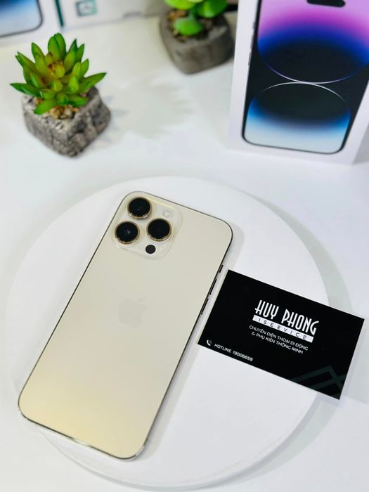 Huy Phong 409 ảnh 2