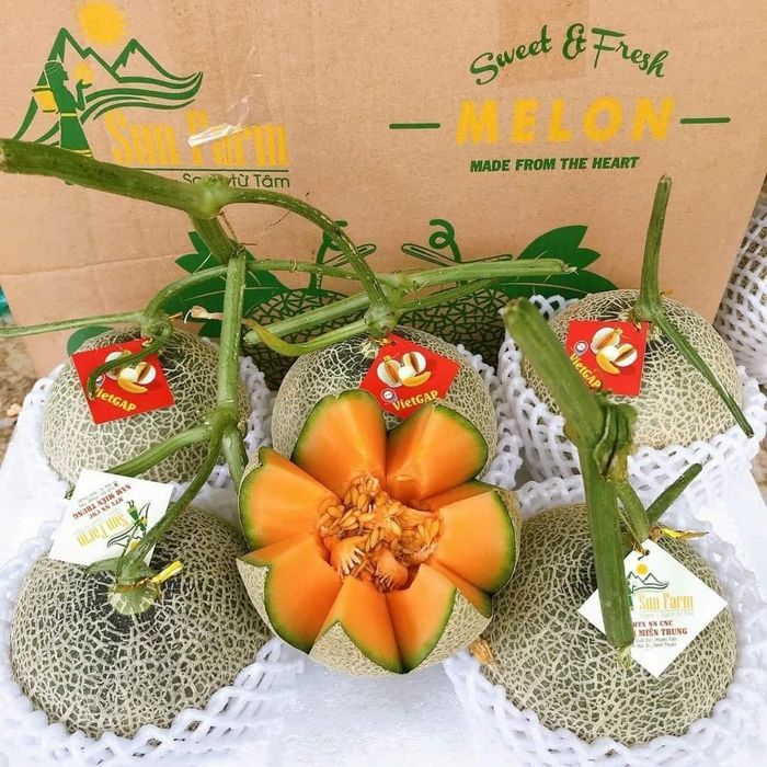 Trái Cây Nông Sản 4 Mùa - Pin Pin Food's ảnh 1