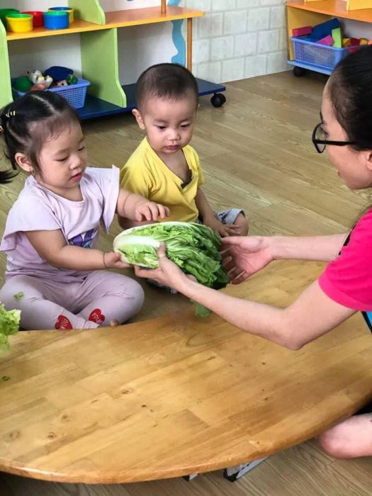 Khu vui chơi ngoài trời tại Mầm non Hạnh Phúc