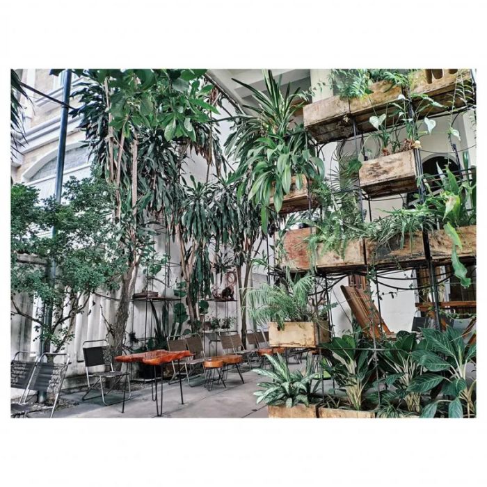 Le Cafe Nha Trang ảnh 1