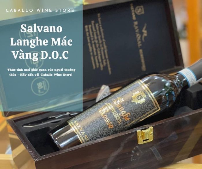 Hình ảnh không gian thưởng thức rượu vang đẳng cấp tại Caballo Wine Club