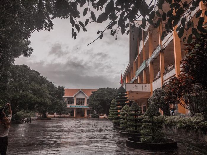 Trường THPT Nguyễn Bỉnh Khiêm, Đăk Nông hình ảnh 2
