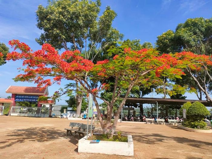 Trường THPT Quang Trung hình ảnh 2