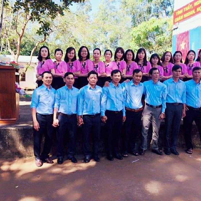 Hình ảnh Trường THCS Võ Trường Toản lần 2