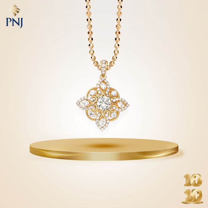 Ảnh minh họa PNJ 1