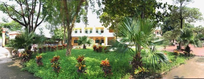 Không gian xanh mát tại THCS Nguyễn Trãi