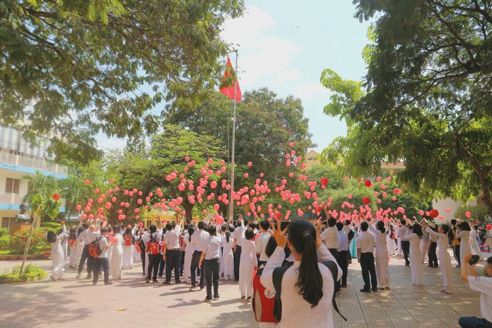 Trường THPT Nguyễn Thượng Hiền ảnh 2