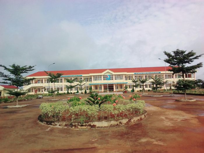 Trường THPT Nguyễn Đình Chiểu - Đắk Nông hình ảnh 1