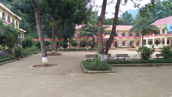Hình ảnh Trường THPT Tông Lệnh 1