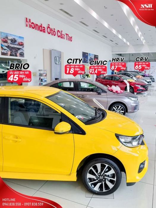 Honda Ôtô Cần Thơ - Ảnh 3: Môi trường làm việc chuyên nghiệp, tận tâm tại showroom Cần Thơ