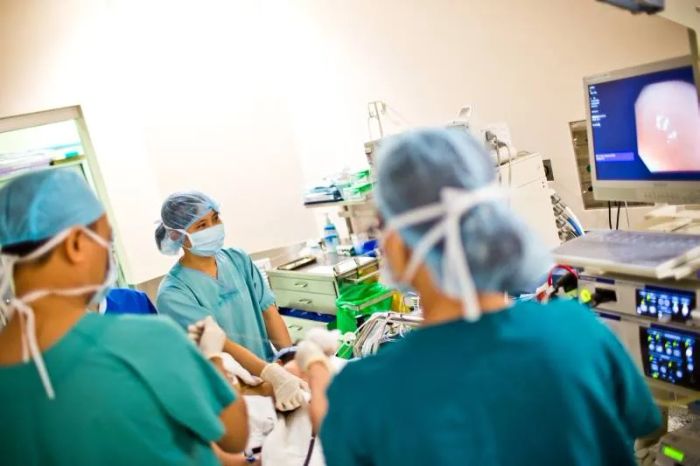 Hình ảnh Bệnh viện FV - Khuôn viên sang trọng