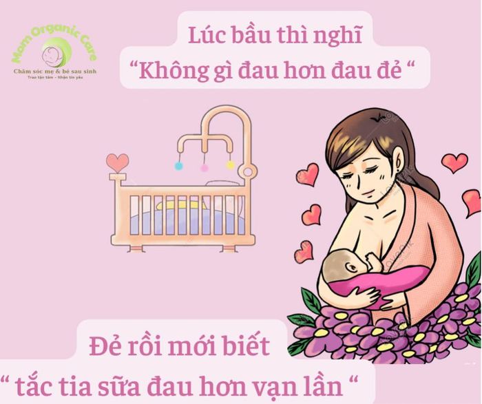 Hình ảnh không gian chăm sóc tại Mom Organic Care