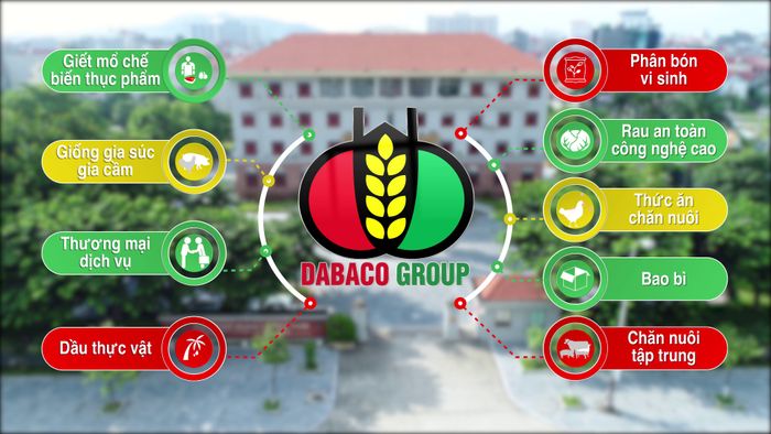 Hình ảnh dây chuyền sản xuất tự động hóa tại nhà máy DABACO