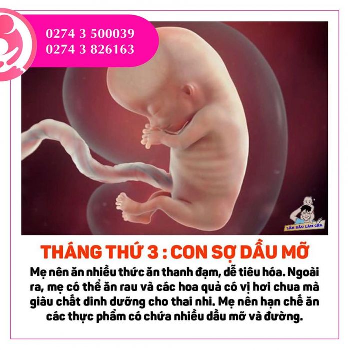 Hình ảnh phòng khám Sản Phụ Khoa - Bác sĩ Kim Huê (ảnh 2)
