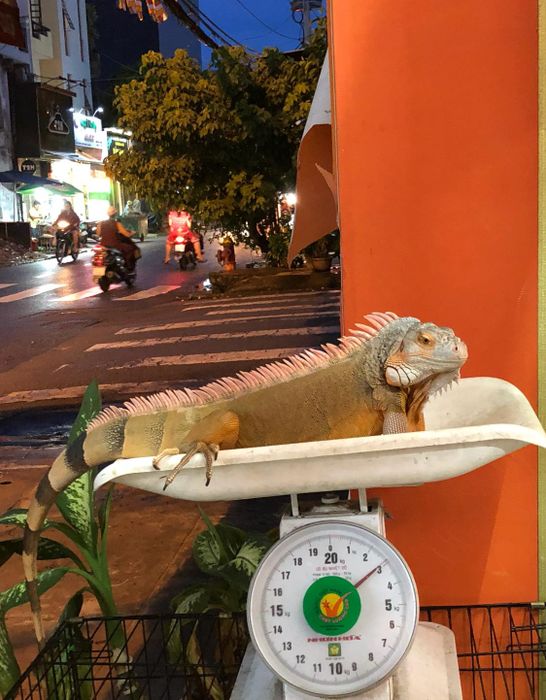 Hình ảnh đội ngũ bác sĩ chuyên nghiệp tại Dr.Anh