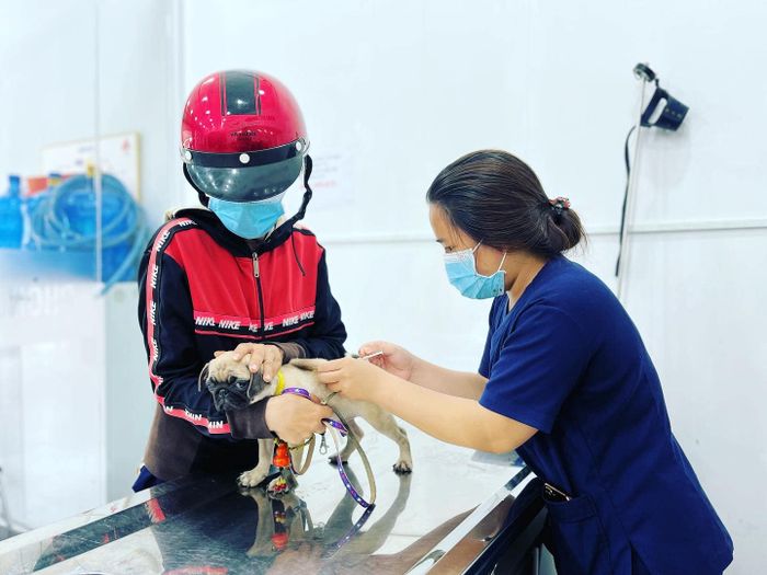 Hình ảnh khu vực điều trị hiện đại tại Sagovet