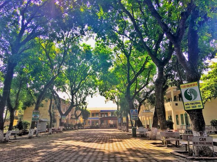 Góc nhìn đầu tiên về Trường Tiểu học Gia Sàng - Nơi ươm mầm tương lai