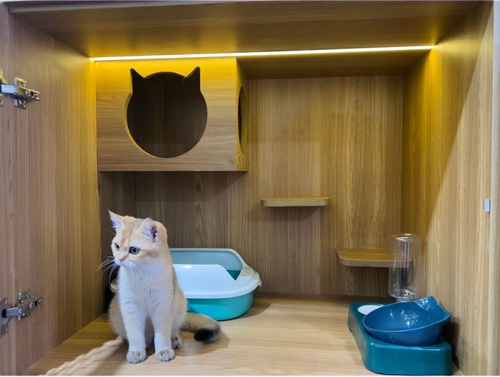 Hình ảnh về dịch vụ Hachiko Petmall - ảnh 2