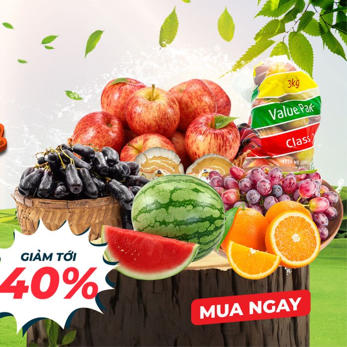 Các sản phẩm cao cấp được trưng bày tại Homefarm