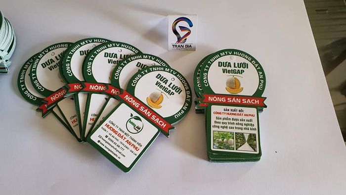 Hình ảnh minh họa sản phẩm của TRẦN GIA