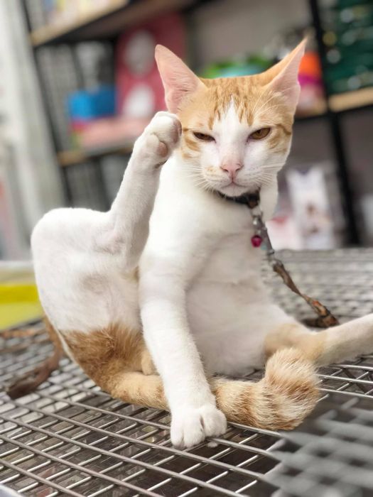 Hình ảnh quy trình khám chữa bệnh chuyên nghiệp tại Dr.Anh