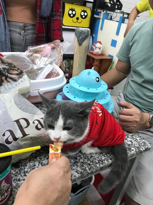 Hình ảnh không gian hiện đại tại King Pet
