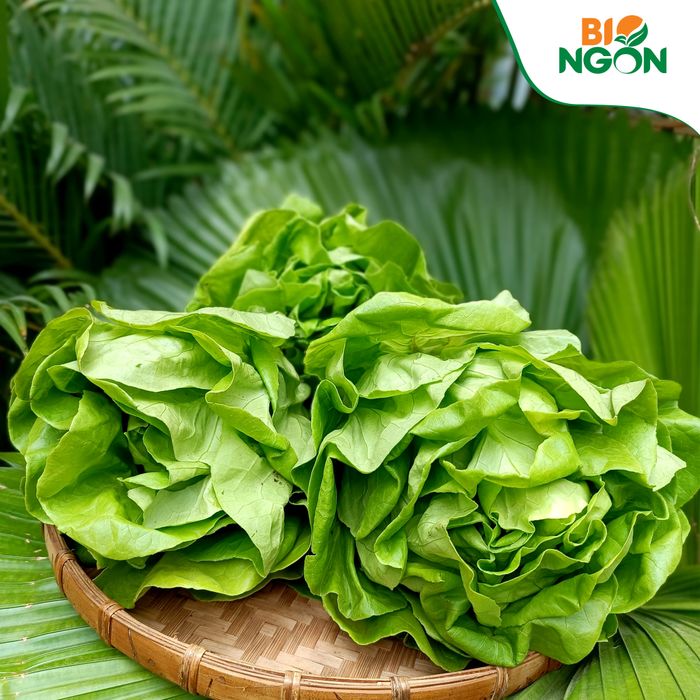 Hình ảnh sản phẩm tươi ngon tại Bio Ngon
