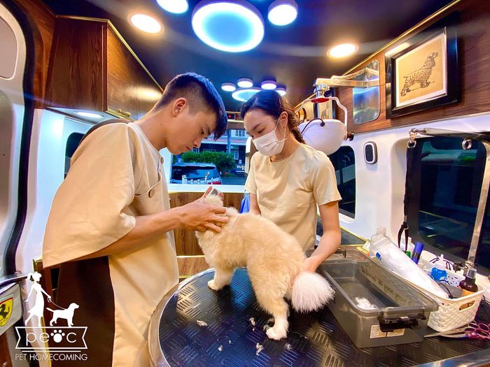 Hình ảnh không gian Peoc Pet Homecoming - ảnh 2