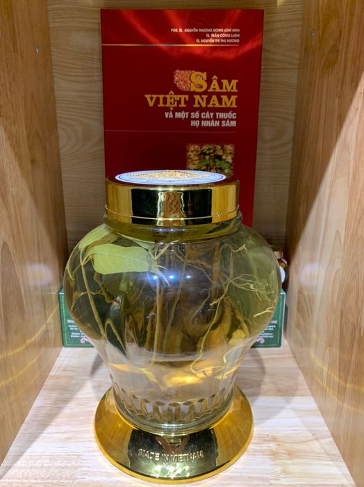 Sâm Ngọc Linh Quốc Tuấn hình ảnh 1