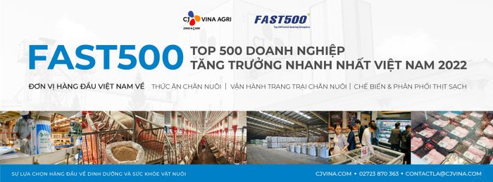 Hình ảnh dây chuyền sản xuất hiện đại của CJ Vina Agri