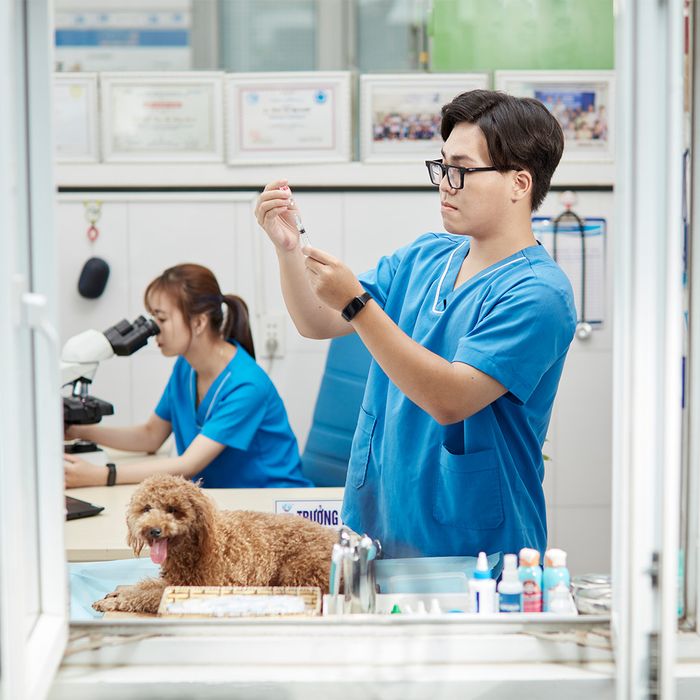 Không gian hiện đại tại Bệnh Viện Thú Y PetPro