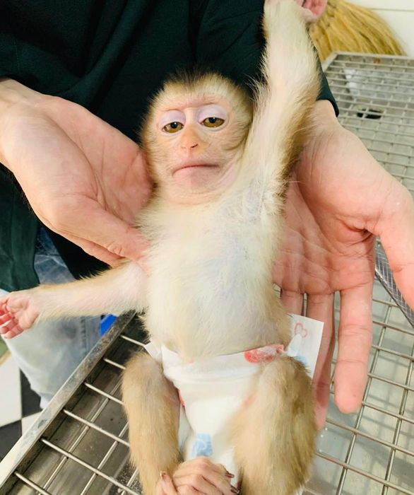 Không gian hiện đại tại TP PET - Hình ảnh 2