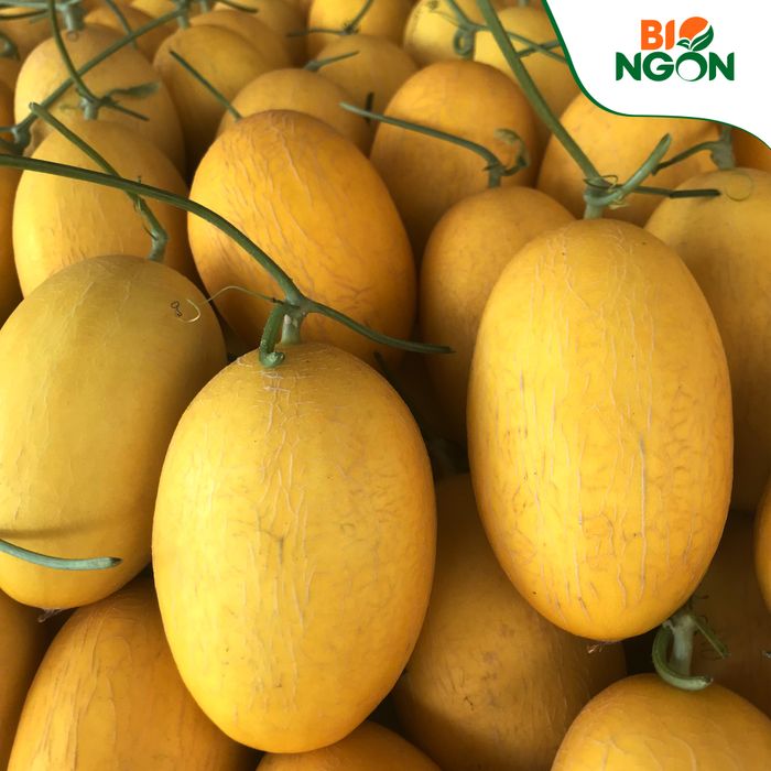 Hình ảnh vườn rau hữu cơ Bio Ngon