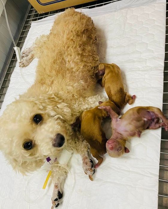Hình ảnh cơ sở vật chất hiện đại tại TP PET Tân Phú